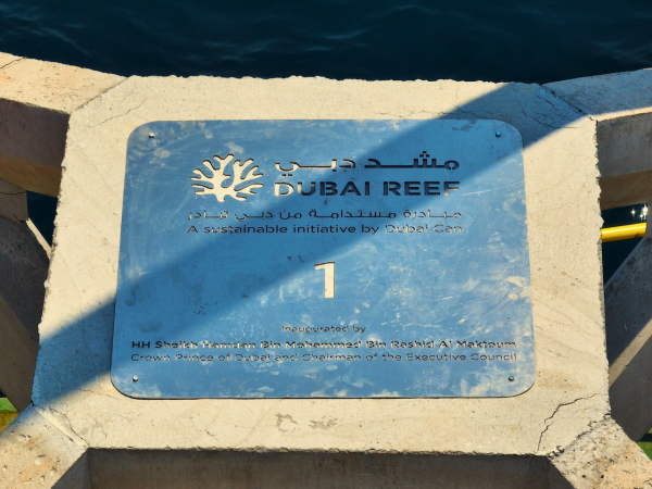Dubai Reef: как Дубай заботится о морской экосистеме