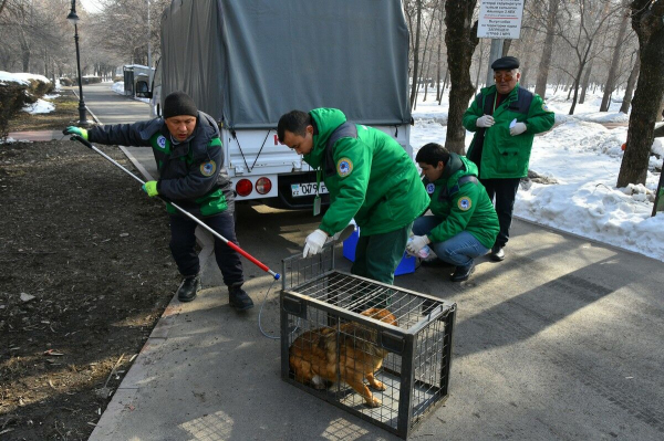 Пациенты рычат и кусаются