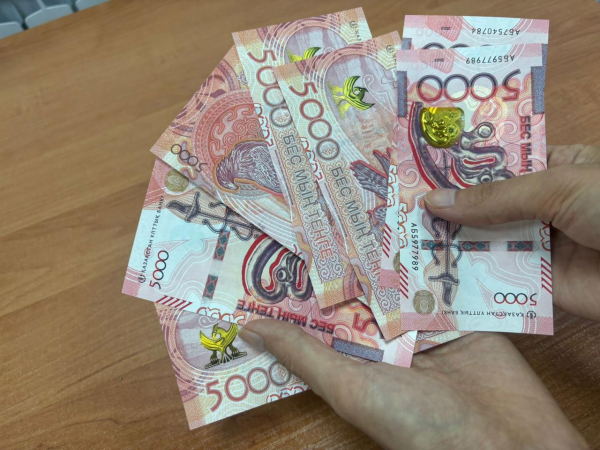 Астанчанка заработала 2 млрд тенге на предоставлении интим-услуг и попала за решетку