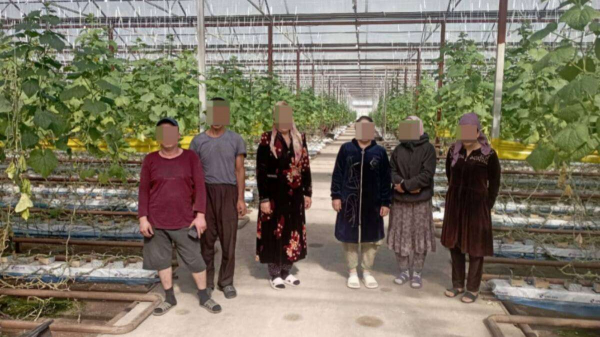 7 нелегалов выявили в Карагандинской области