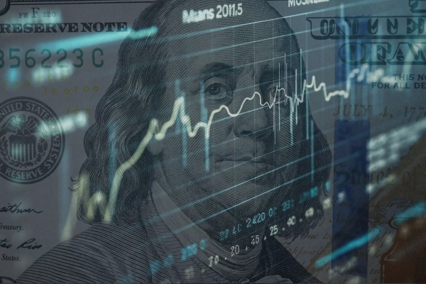 Инвестиционный портфель: виды и принципы формирования