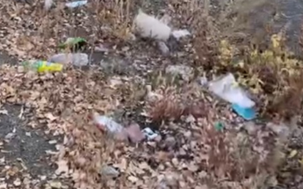 Народный репортер. На Каргалинском как на свалке