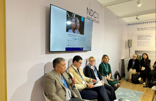 На COP29 обсудили включение образования в новую климатическую стратегию Казахстана